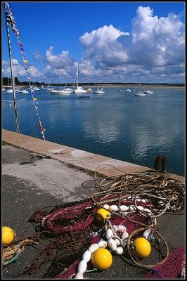 IMG_0002~0.jpg