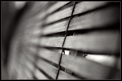 IMG_0003~0.jpg