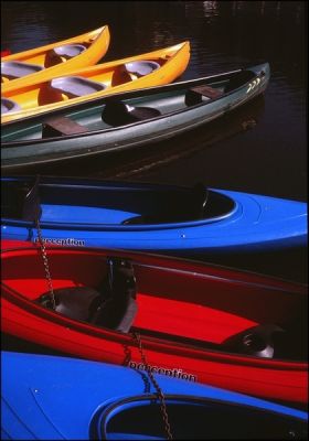 IMG_0004~5.jpg