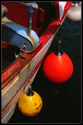 IMG_0008.jpg