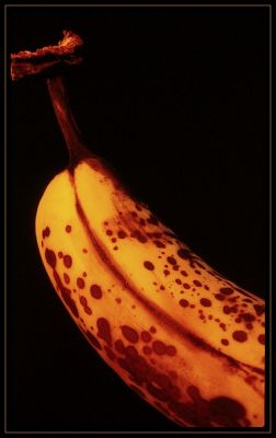IMG_0016~1.jpg