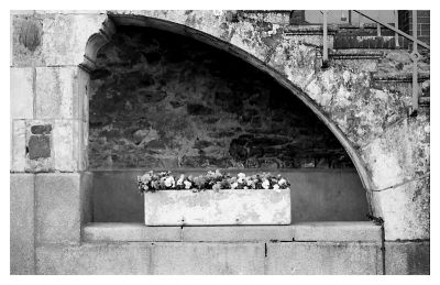 IMG_0018_1.jpg