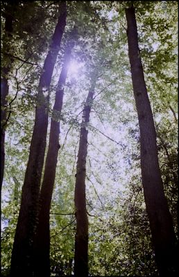 M3vista_0029.jpg
