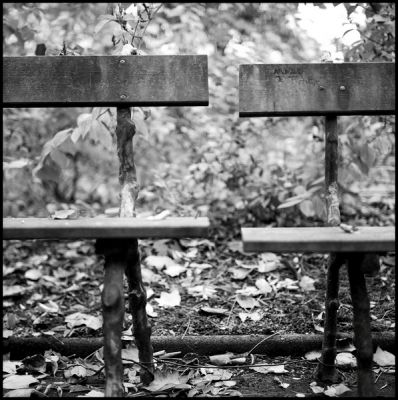 amour_banc.jpg