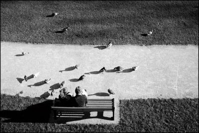 amoureux_pigeons.jpg