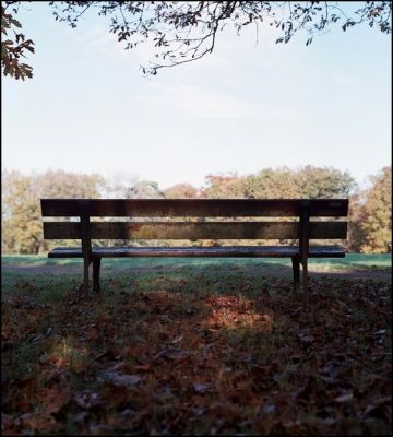 banc4.jpg