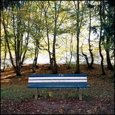 banc_bleu.jpg