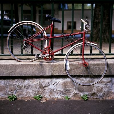 chantenaysuperia100_0004.jpg