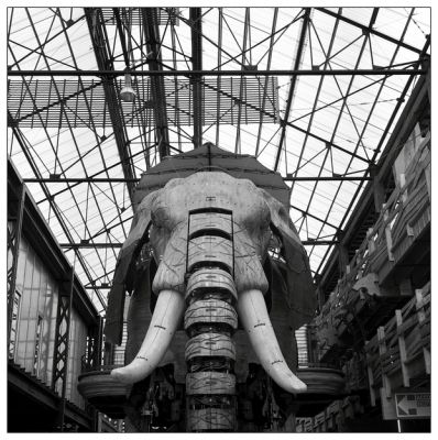 elephant2.jpg