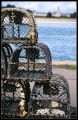 IMG_0001~0.jpg