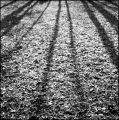 IMG_00031~1.jpg