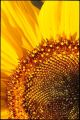 IMG_0005~4.jpg