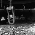 IMG_0011~1.jpg