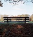 banc4.jpg