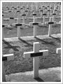 carré_militaire.jpg