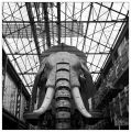 elephant2.jpg