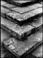 fev_2010_blottereau_0014.jpg
