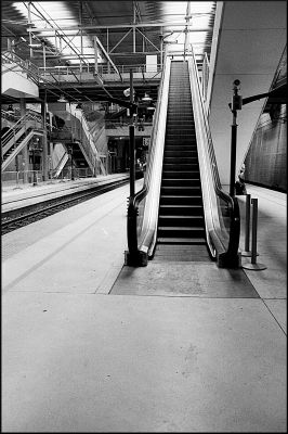nega0011_002.jpg