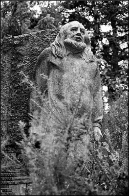 nega0013_015.jpg