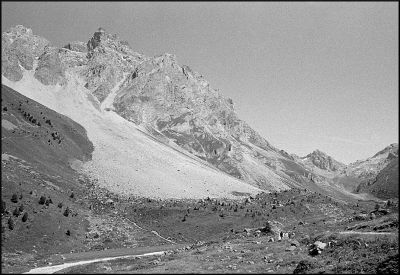 nega0015_007.jpg