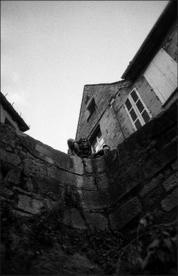 nega0056_006.jpg