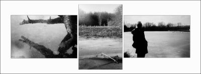 Triptyque hivernal
