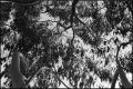 nega0003_16.jpg