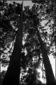 nega0009_006.jpg