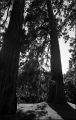 nega0009_008.jpg