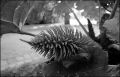 nega0009_014.jpg
