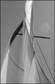 nega0014_015.jpg