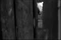 nega0017_018.jpg