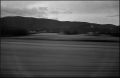 nega0017_020.jpg