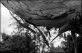 nega0019_004.jpg