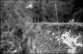 nega0019_012.jpg