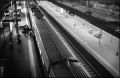 nega0026_010bis.jpg