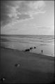 nega0027_022.jpg