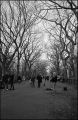 nega0029_028.jpg
