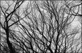 nega0029_029.jpg