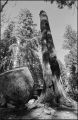 nega0033_012.jpg
