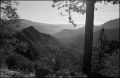 nega0034_004.jpg
