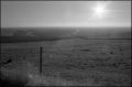nega0034_013.jpg