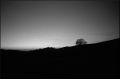 nega0034_031.jpg