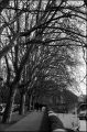 nega0040_017.jpg