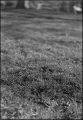 nega0041_013.jpg