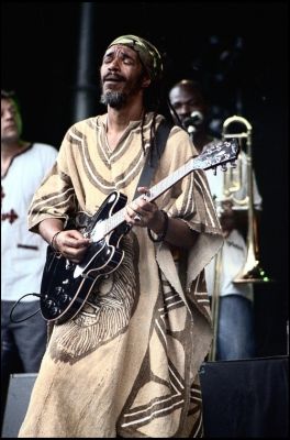 Tiken Jah Fakoli
Live Terre du Son 2008, son guitariste

