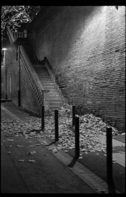 Autumn Leaves
Place de la Daurade à Toulouse.
Olympus OM10 et Zuiko 50mm à f1,8.
Mots-clés: Toulouse Automne Nuit Feuille