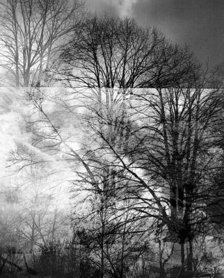 01_12005_-_Copie.jpg