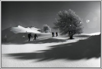 ombre et neige
olympus om2 24mm
