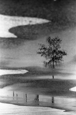 reflet019.jpg